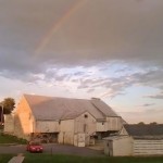 Views from around the Homestead