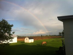 rainbow2